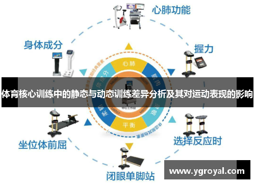 体育核心训练中的静态与动态训练差异分析及其对运动表现的影响